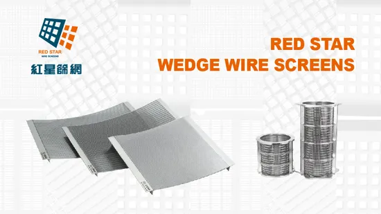 Premium Wedge Wire Screens for Fine Particle Mining Applications